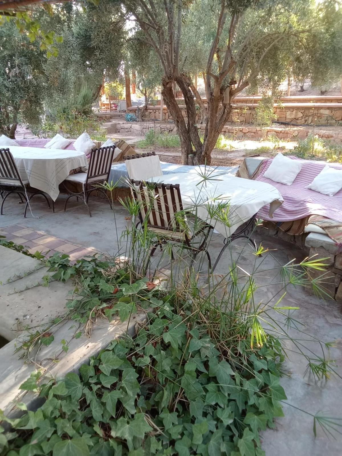 Hotel Kasbah Timdaf Demnate Exterior foto